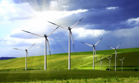 Renewable Energy Investment Survey