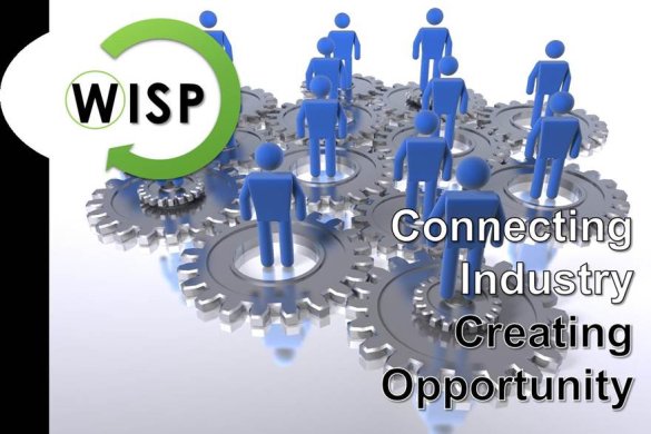 WISP Synergy Workshop Summary Report