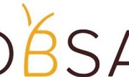 DBSA Logo .JPG