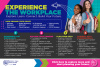 Experience the Workplace 