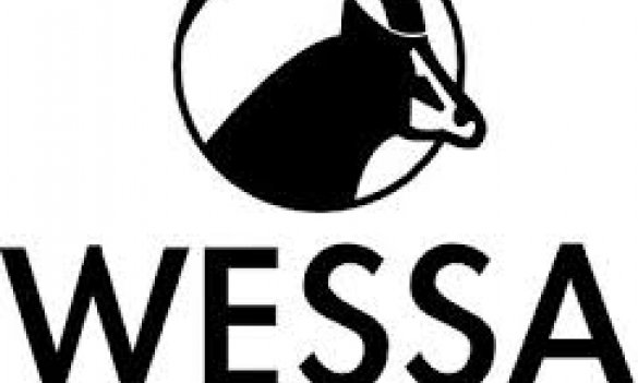 Wessa-logo.jpg