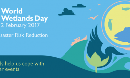 World Wetlands Day 