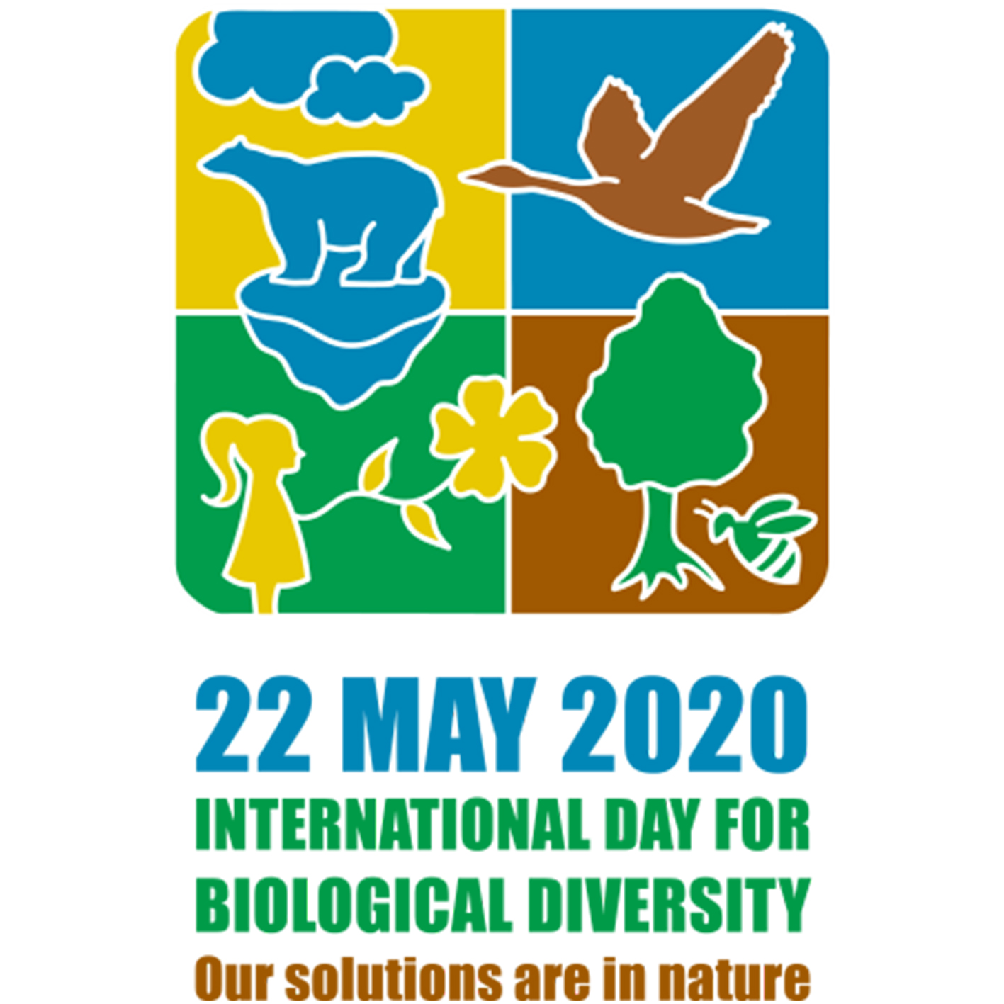 International Biodiversity Day