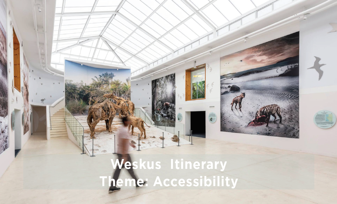 accessibility_theme_weskus_banner.png