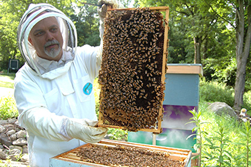 Beekeeper with honeycomb