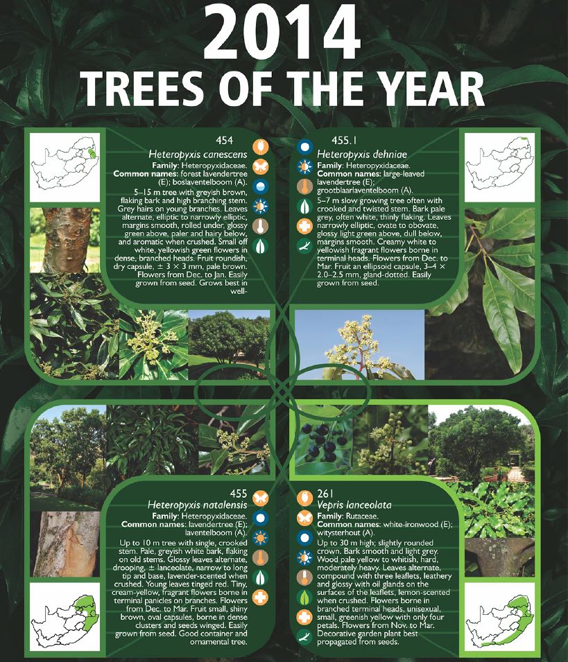 2014 Trees of the Year