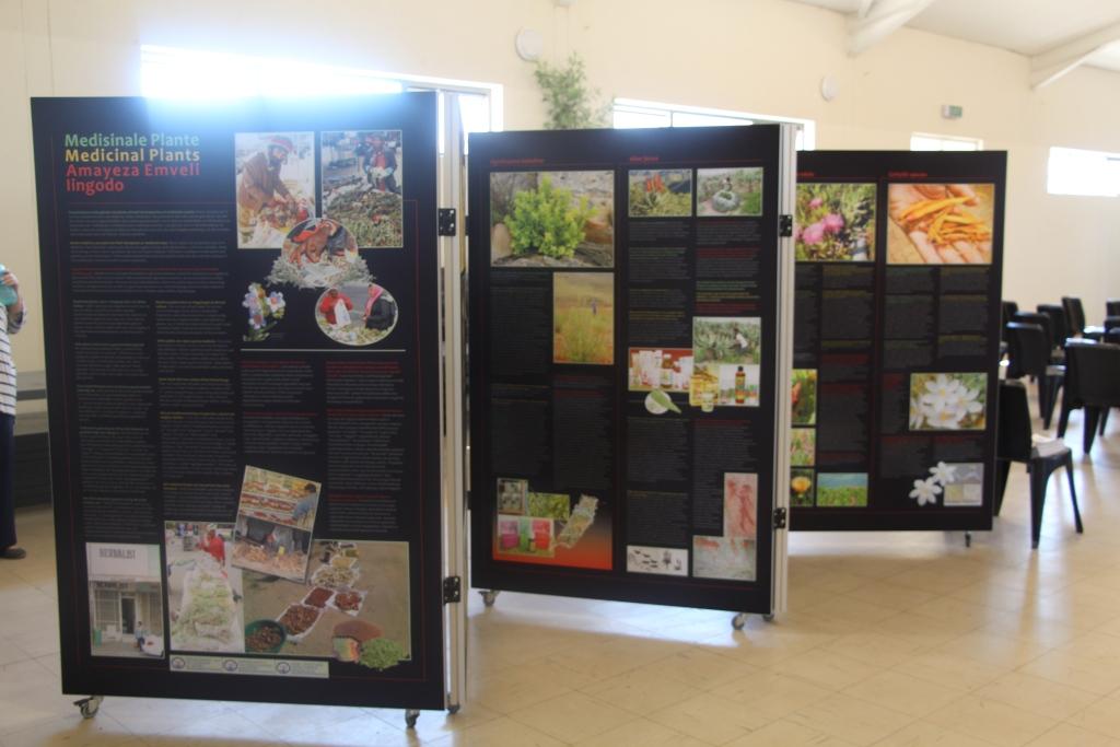 Information on traditional medicinal plants was on display