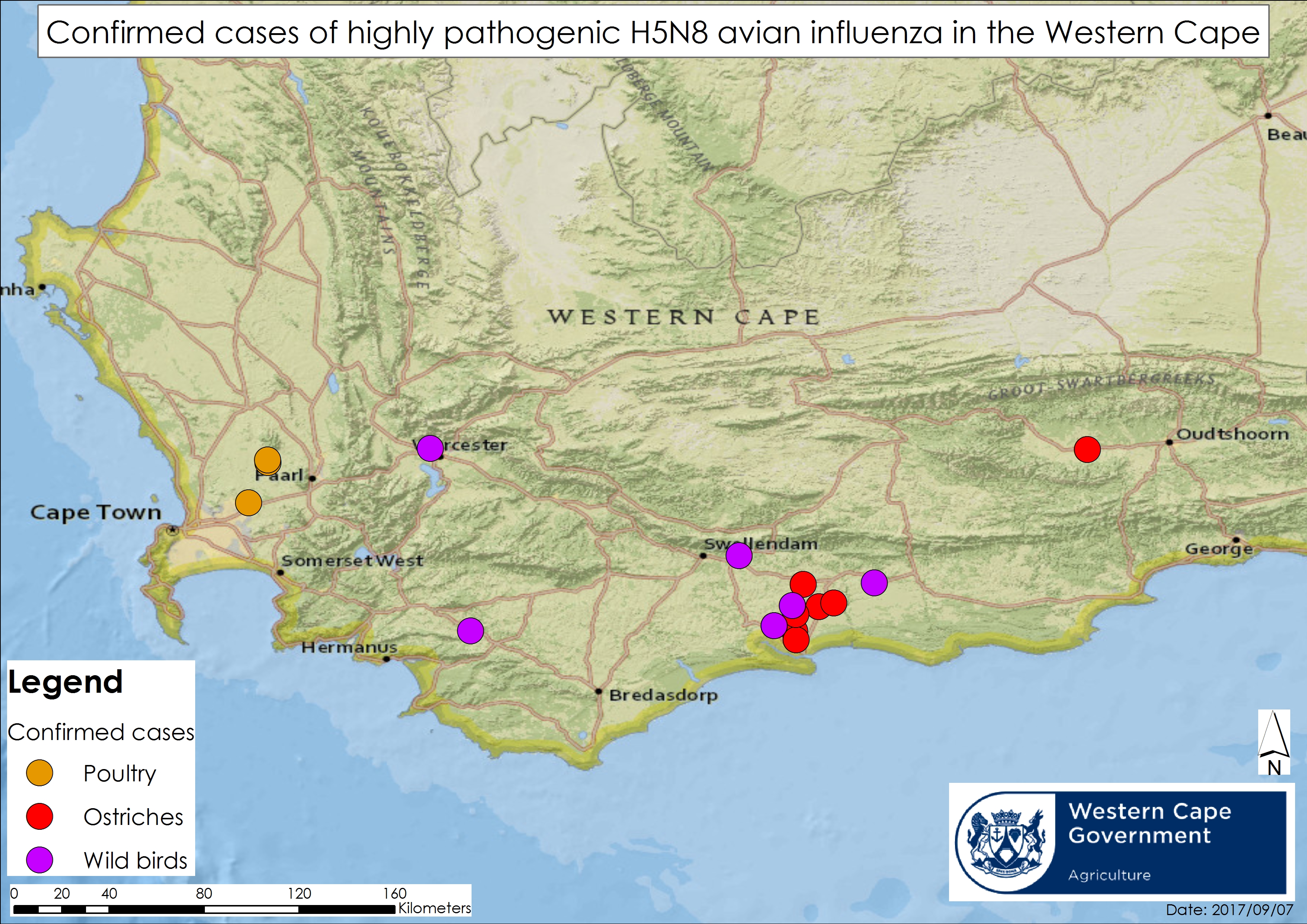 Map of confirmed avian influenza cases in the Western Cape