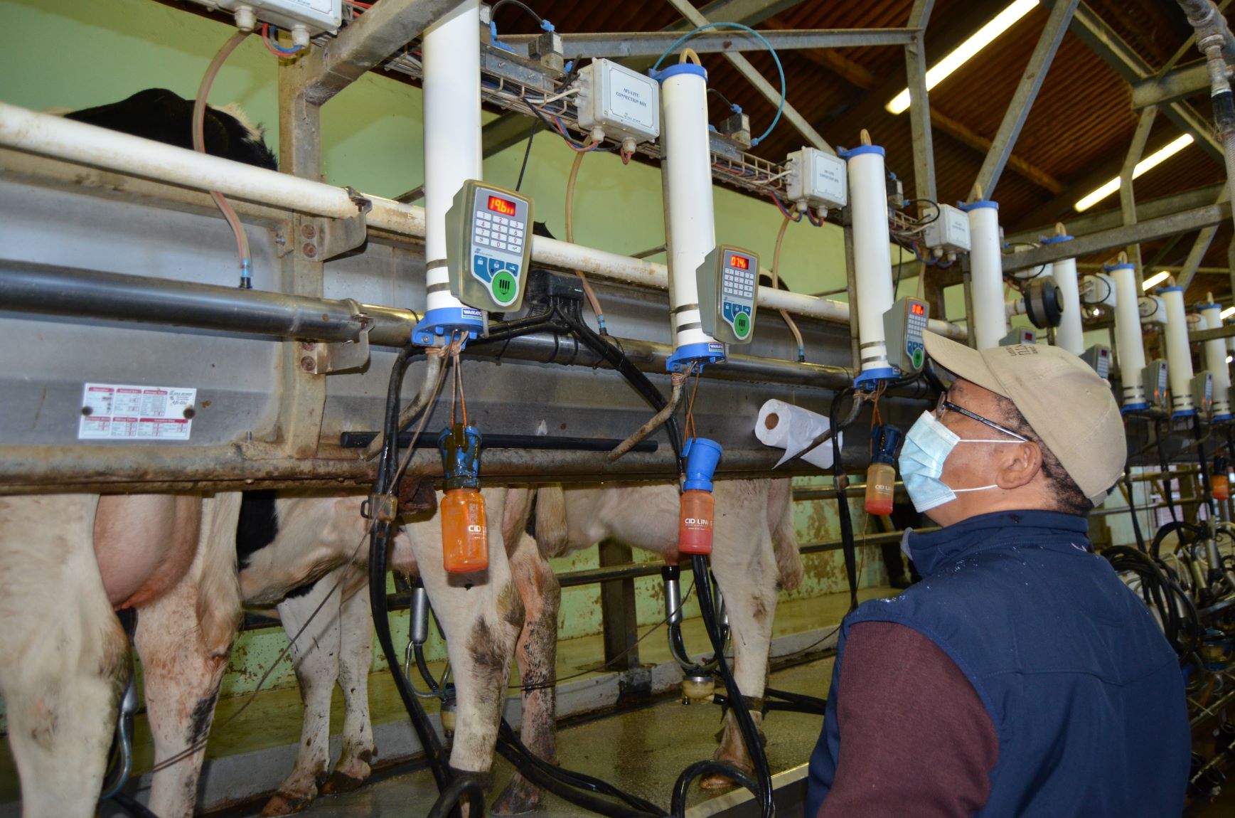Minister Meyer visiting the dairy parlour at Elsenburg on World Milk Day