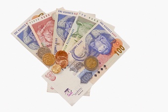 money-notes-coins-rands.jpg