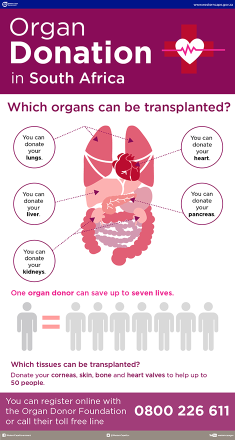 Organ donation infographic