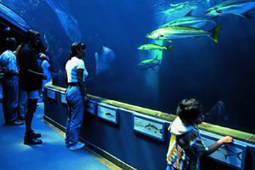 People at the aquarium