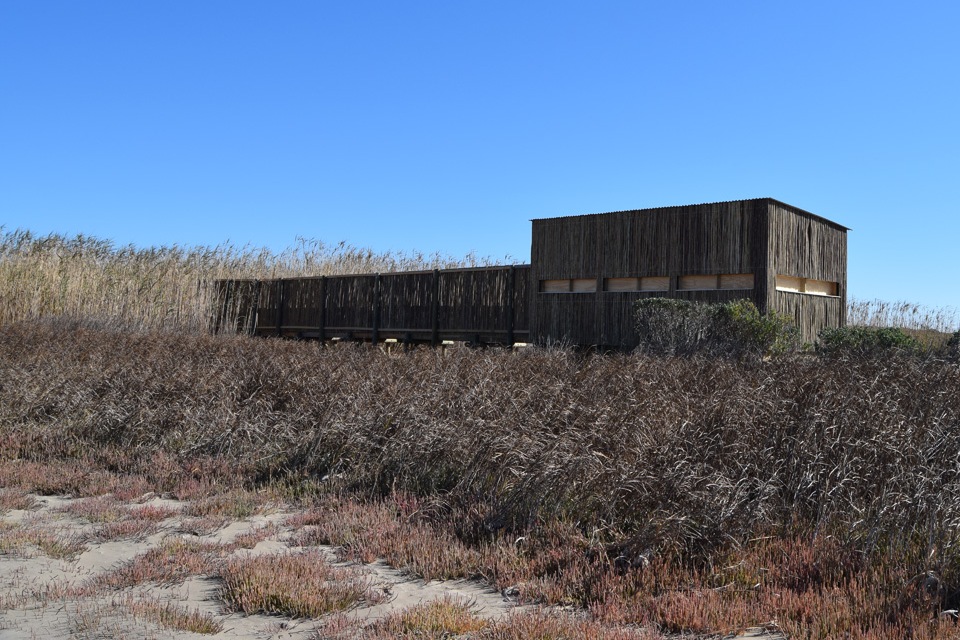 The new bird hide allows you to watch and observe a rich variety of bird species in their natural habitat without disturbing them.