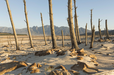 Drought relief for Western Cape farmers