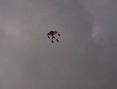 An airborn kite at Elsies River