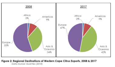 Graphic of Western Cape citrus exports