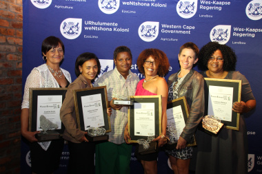 The winners of the Female Entrepreneurs Awards were announced at a ceremony in Paarl. 