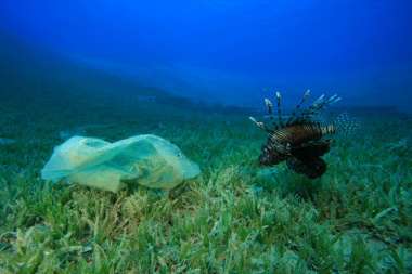 plastic bag under the ocean