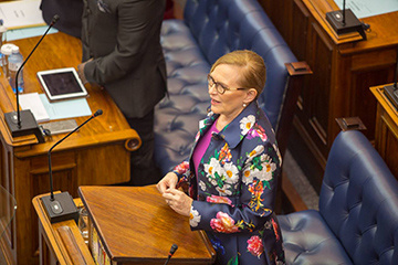 Premier Helen Zille speaking in Provincial Parliament 