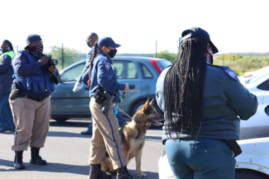 K9 Unit in Operation