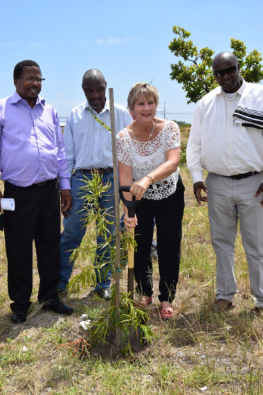 Minister Anroux Marais planting one of the 20 trees donated to the initiation site in Nyanga.