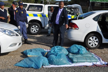 Minister Plato with 45 kg marijuana drug bust on the R27