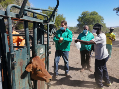 Veterinary Technician Anton Barnard with Minister Ivan Meyer and smallholder farmer David Mgqwanti