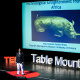 2015 TEDx TableMountain