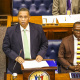 Minister Delivering Budget Speech