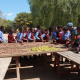 Learners being educated in grape harvesting techniques
