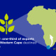 More than one-third of exports from the western cape destined for Africa