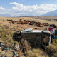 R46 accident between Tulbagh and Wolseley.