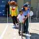 JTTCs are small-scale simulated road environments built at primary schools to teach children about road safety in a play environment.