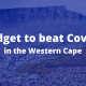Special Adjustment Budget - A Budget to Beat Covid-19 in the Western Cape