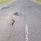 The current road condition on the R101.