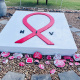 Stikland Hospital unveiled a monument on World Aids Day to remember the work done by all community members and staff in the fight against HIV/AIDS.