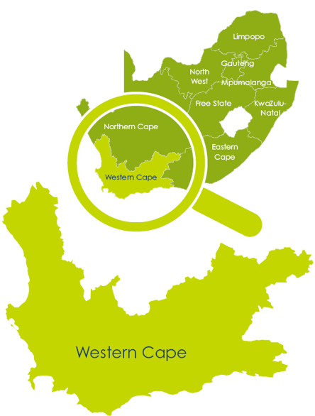 western_cape_today_4.png