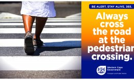 pedestrian safety 1